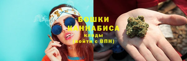 ГАЛЛЮЦИНОГЕННЫЕ ГРИБЫ Горняк