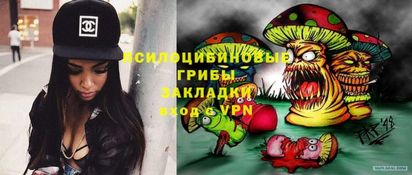 а пвп мука Гусиноозёрск