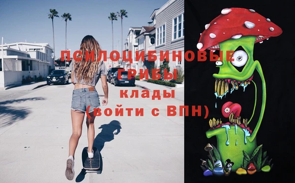 не бодяженный Горно-Алтайск