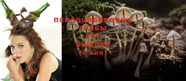 мдма Гусев