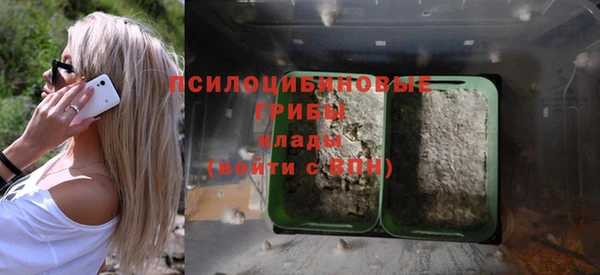 ALPHA PVP Горнозаводск