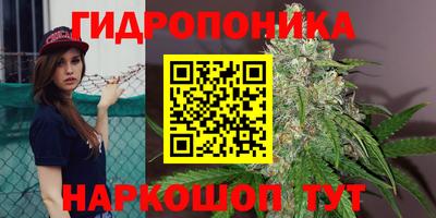 скорость Канаш