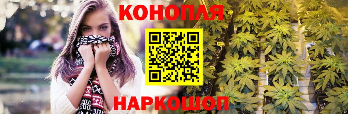 Бошки марихуана тримм  Каннабис ГИДРОПОН  Вход с VPN  Москва  Конопля OG Kush 